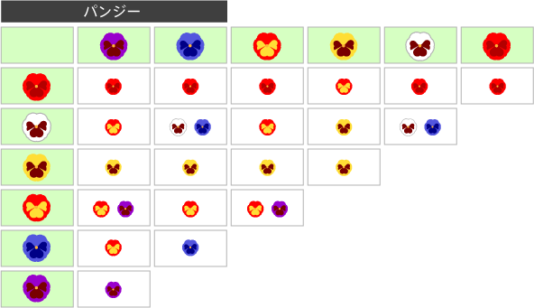 花の交配表(パンジー)