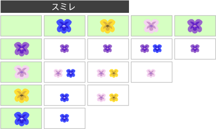 花の交配表(スミレ)